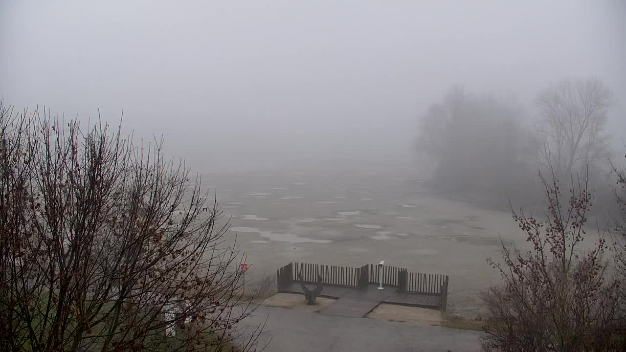 Webcam Ribnik Vrbje – Žalec