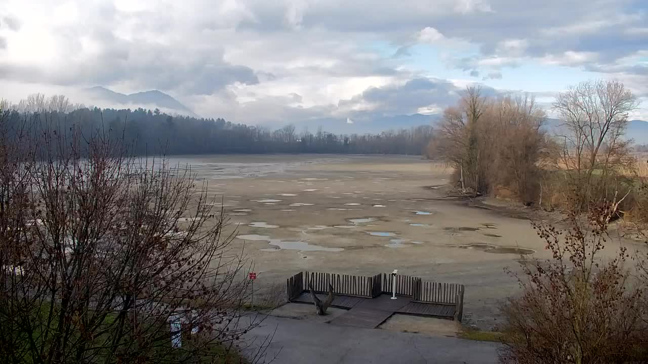 Web kamera Ribnik Vrbje – Žalec