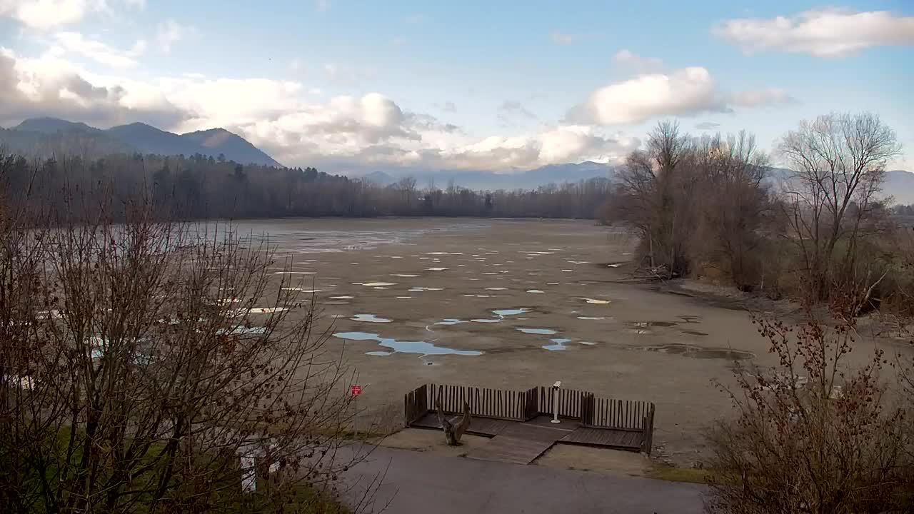 Spletna kamera Ribnik Vrbje – Žalec