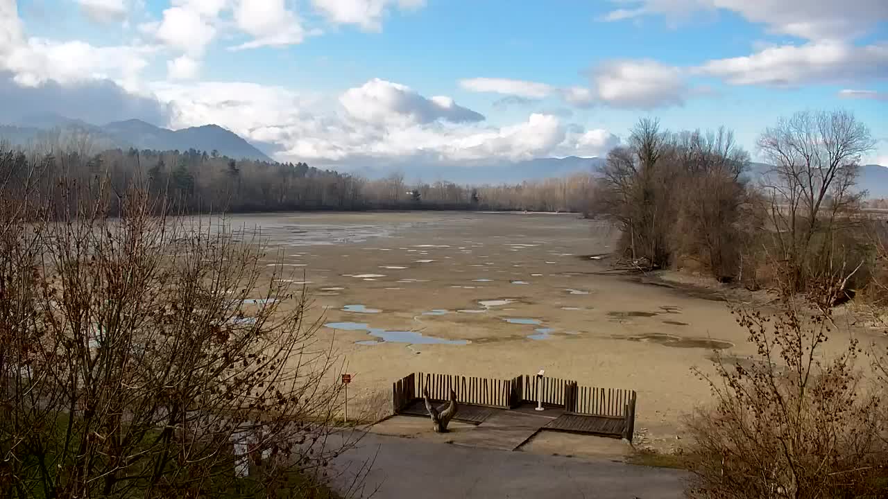 Webcam Ribnik Vrbje – Žalec