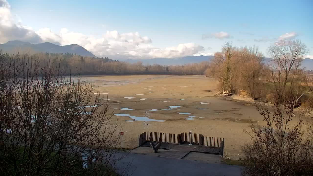 Spletna kamera Ribnik Vrbje – Žalec