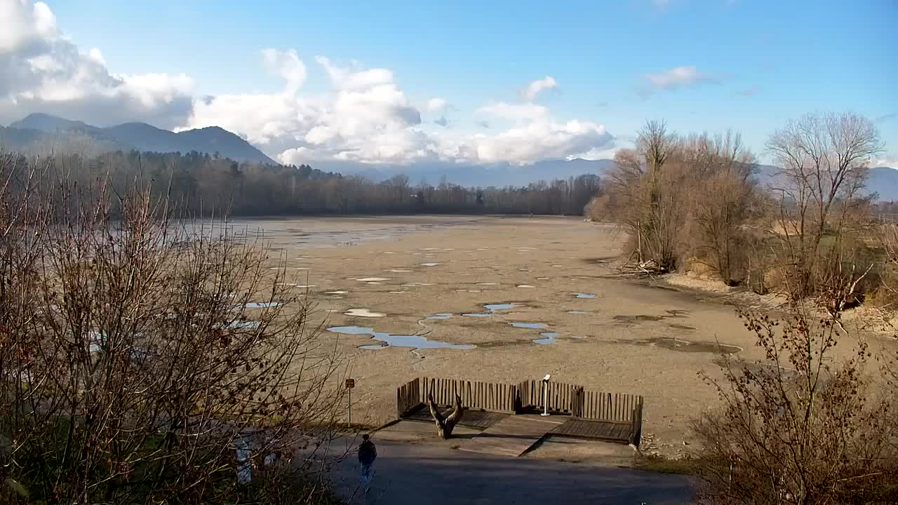 Web kamera Ribnik Vrbje – Žalec