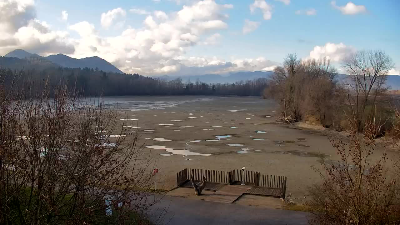 Spletna kamera Ribnik Vrbje – Žalec