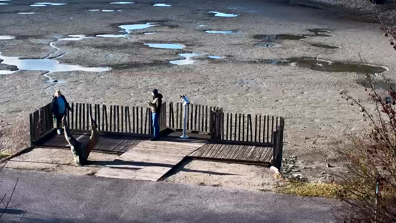 Spletna kamera Ribnik Vrbje – Žalec