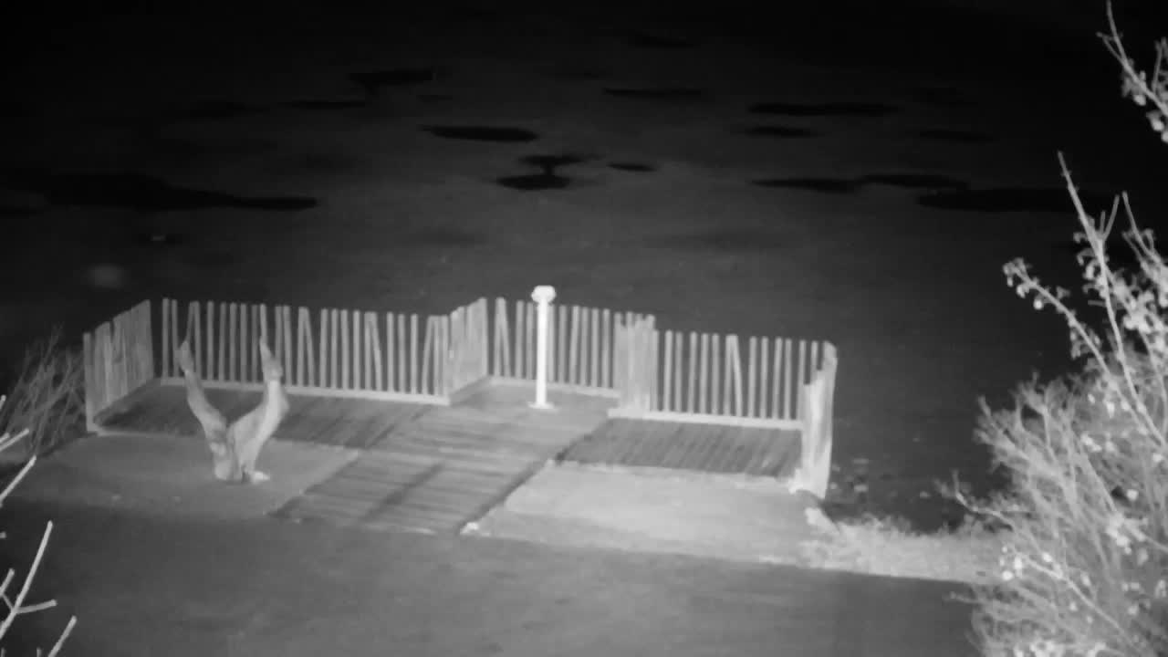 Webcam Ribnik Vrbje – Žalec