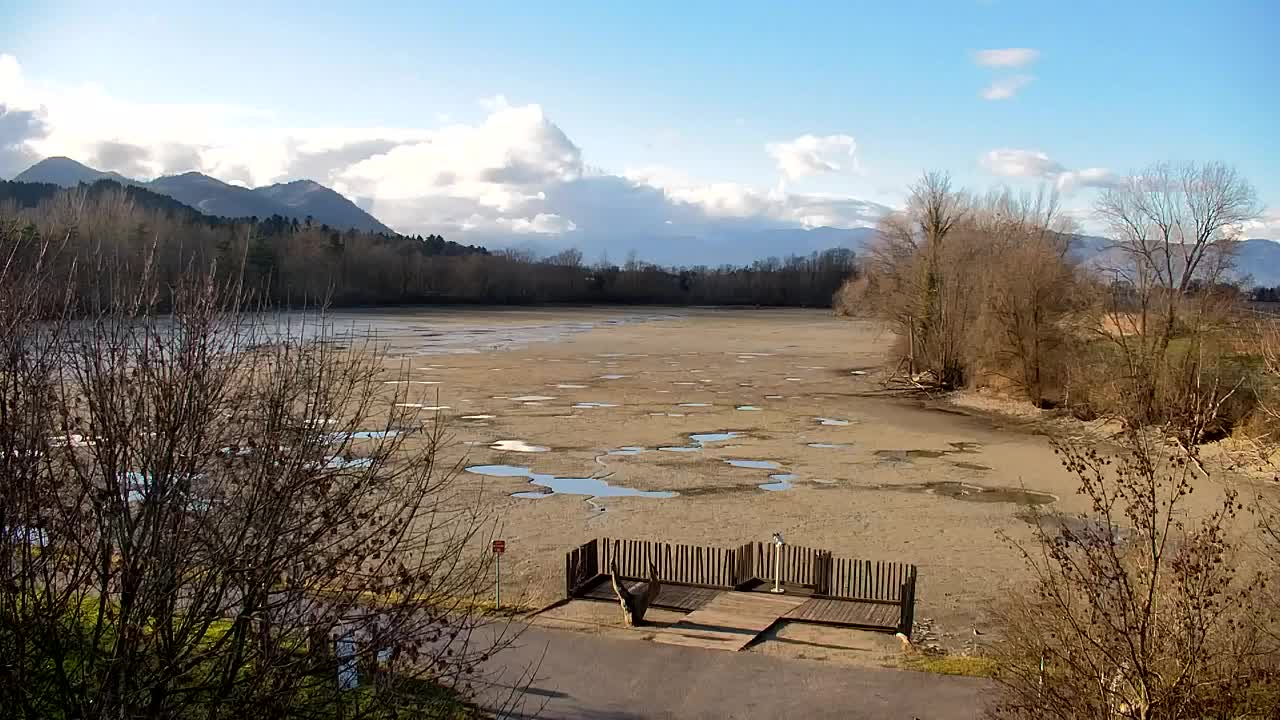 Webcam Ribnik Vrbje – Žalec