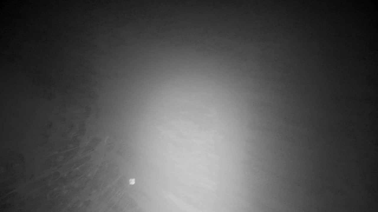 Webcam Ribnik Vrbje – Žalec