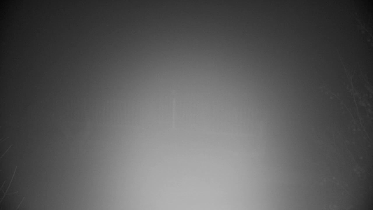 Webcam Ribnik Vrbje – Žalec