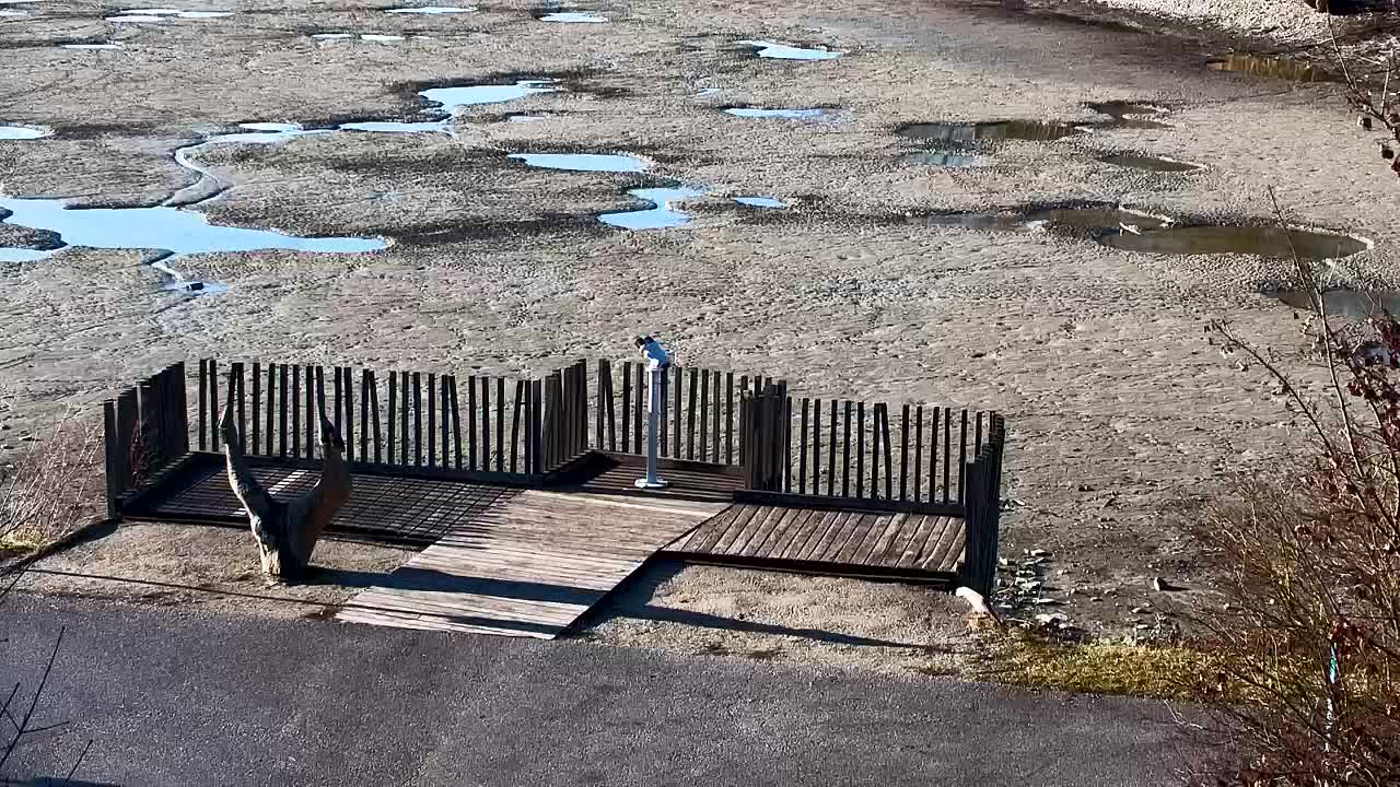 Spletna kamera Ribnik Vrbje – Žalec