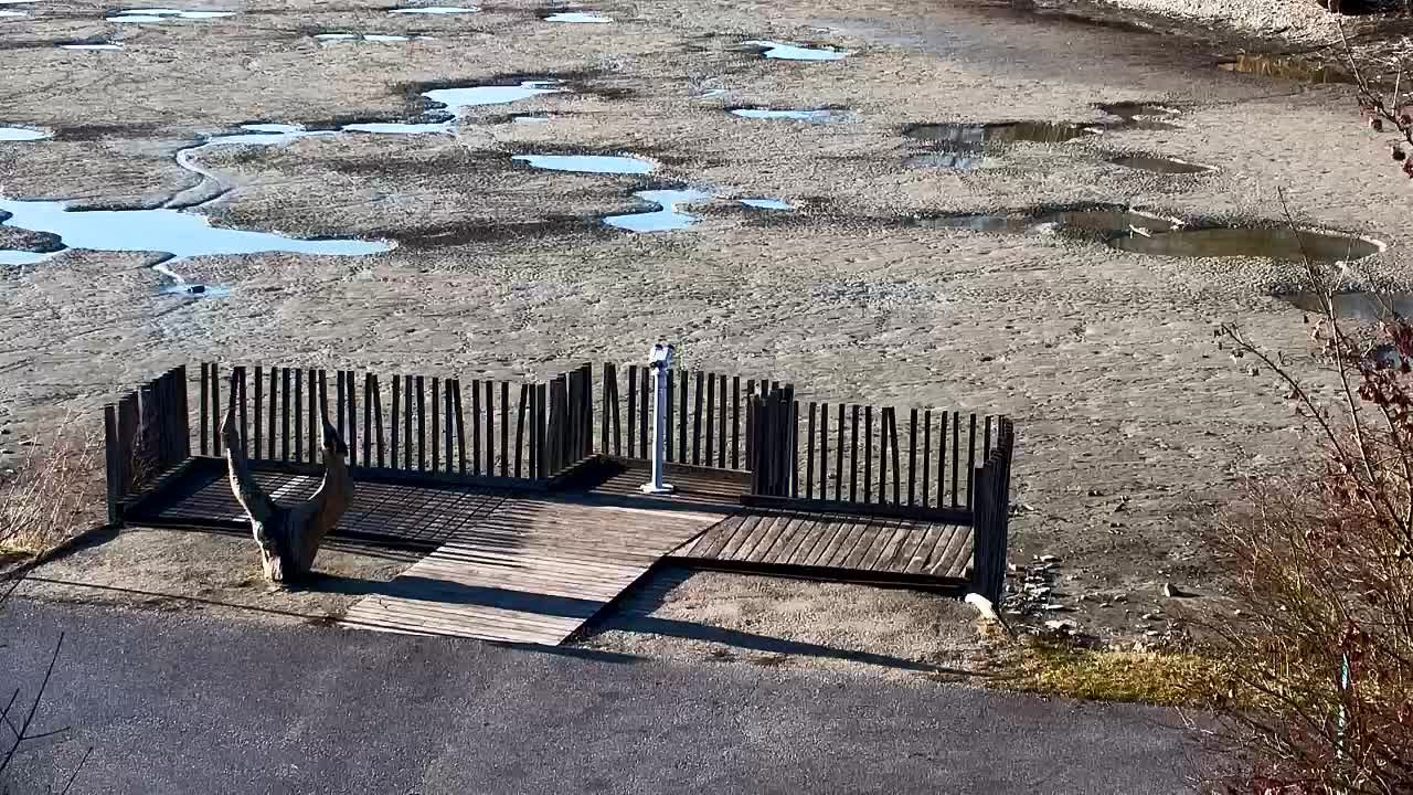 Webcam Ribnik Vrbje – Žalec