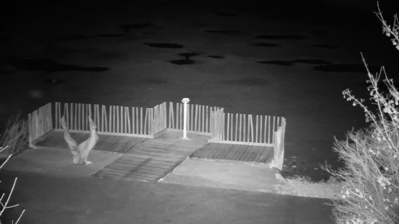 Webcam Ribnik Vrbje – Žalec