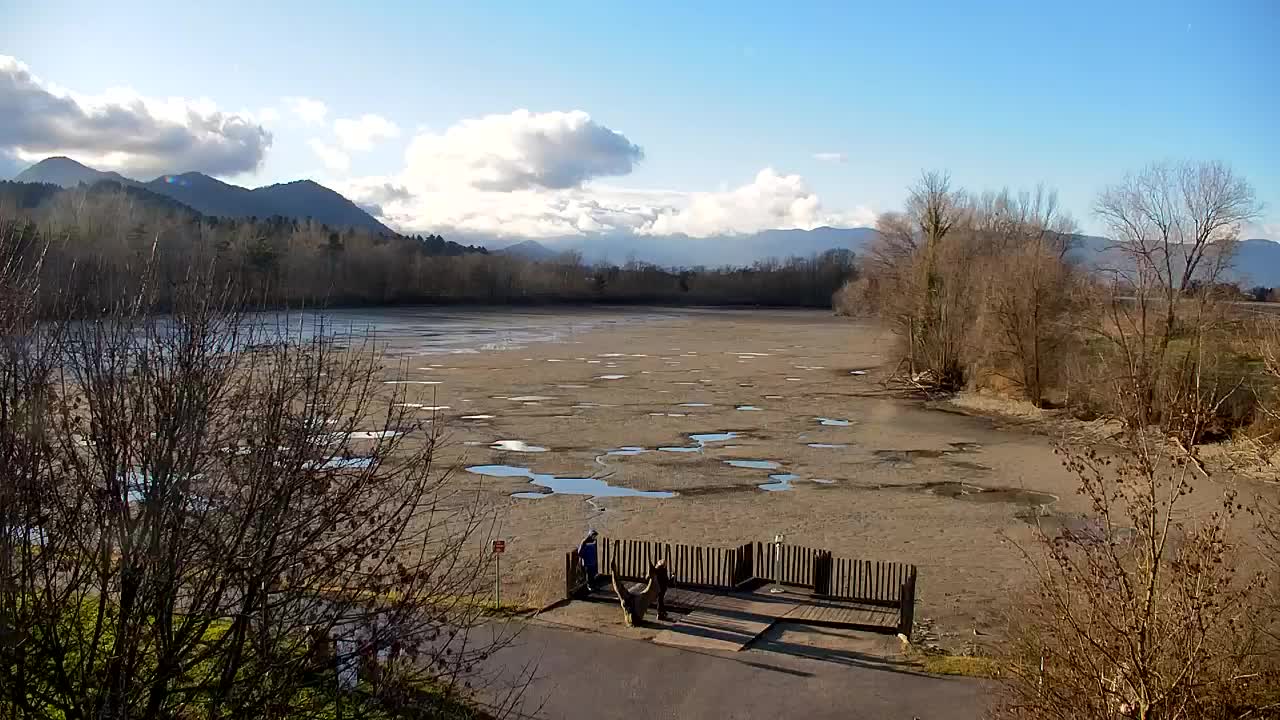 Webcam Ribnik Vrbje – Žalec