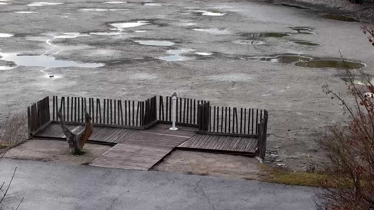 Webcam Ribnik Vrbje – Žalec