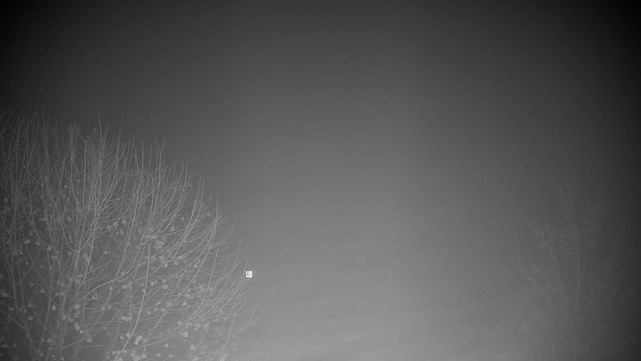 Webcam Ribnik Vrbje – Žalec