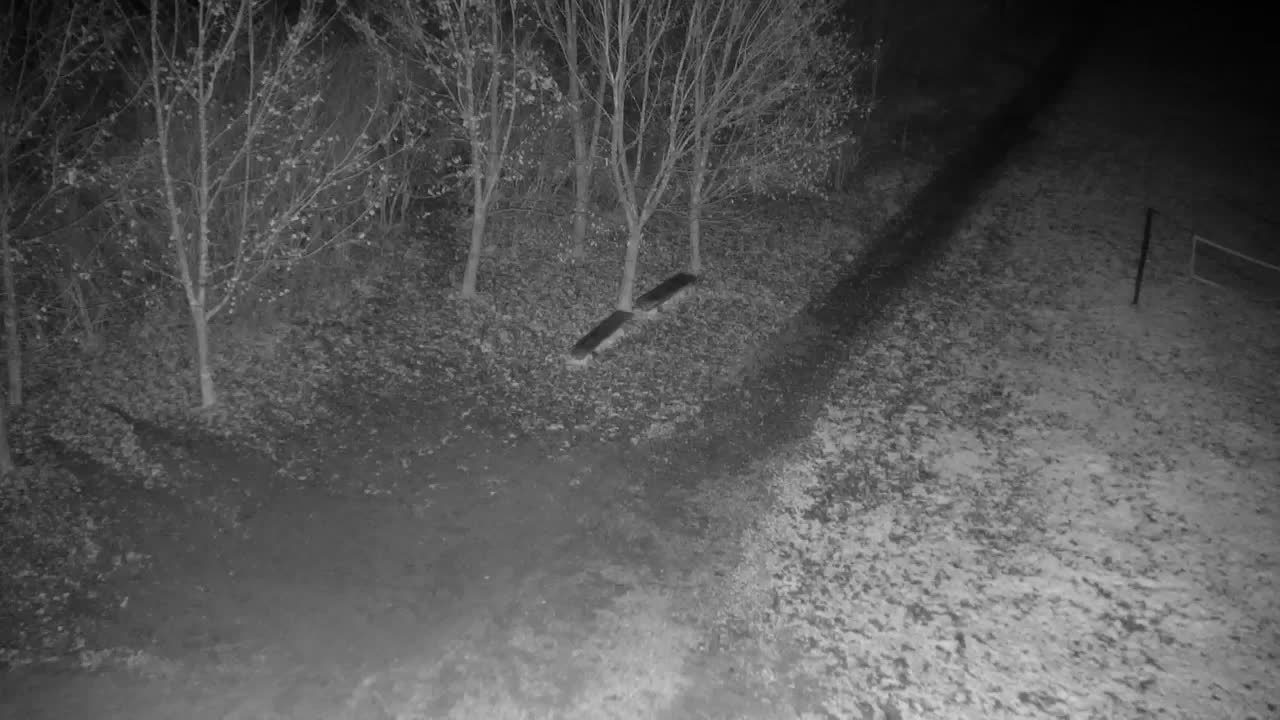 Webcam Ribnik Vrbje – Žalec