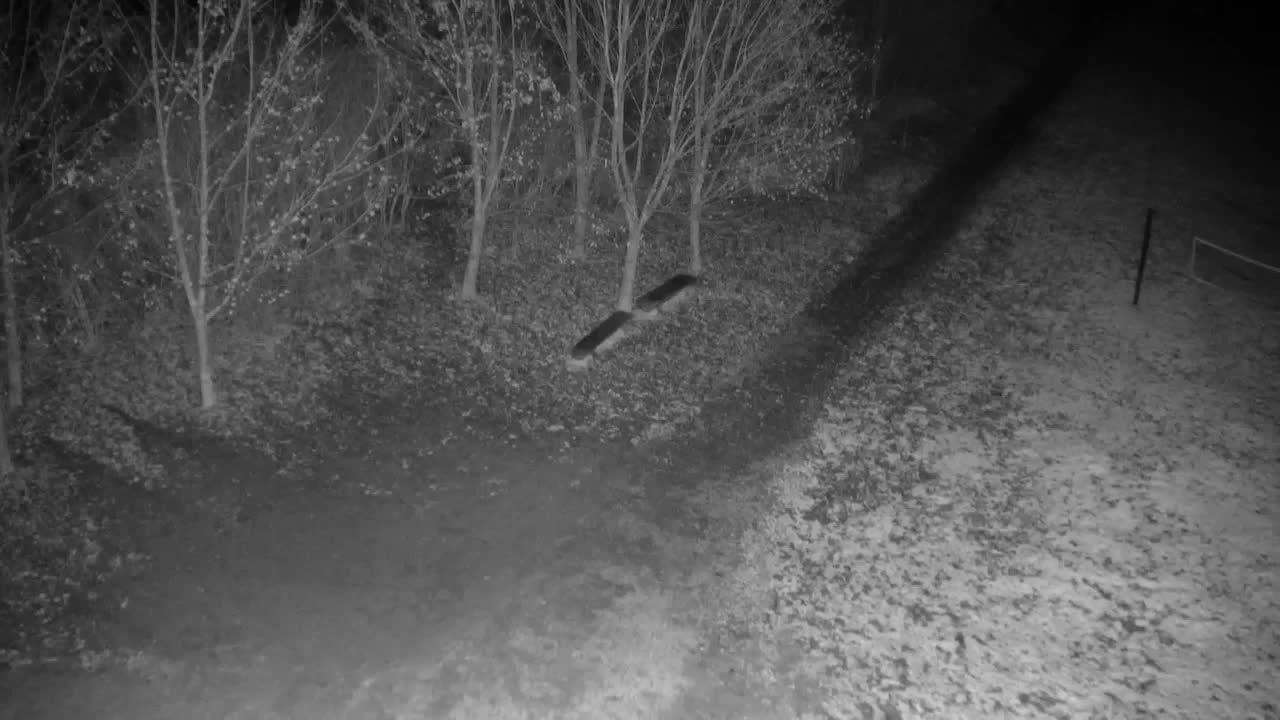 Webcam Ribnik Vrbje – Žalec