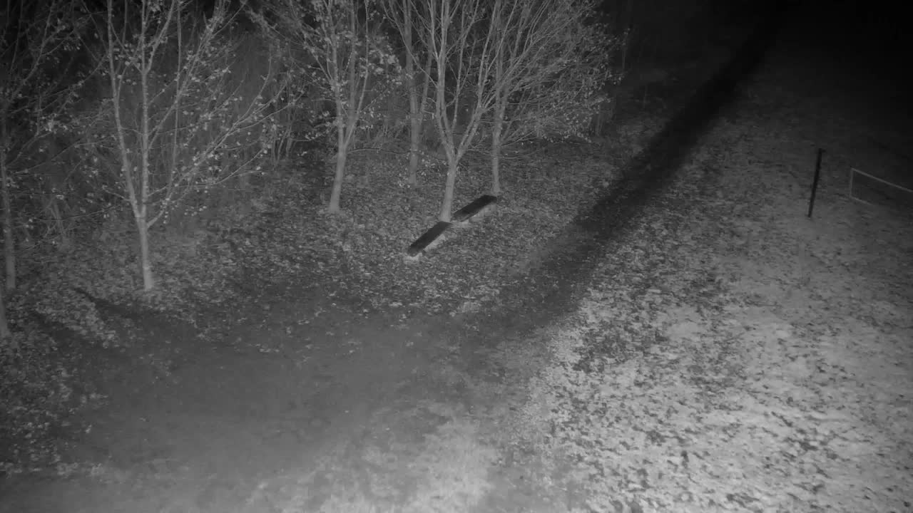 Webcam Ribnik Vrbje – Žalec