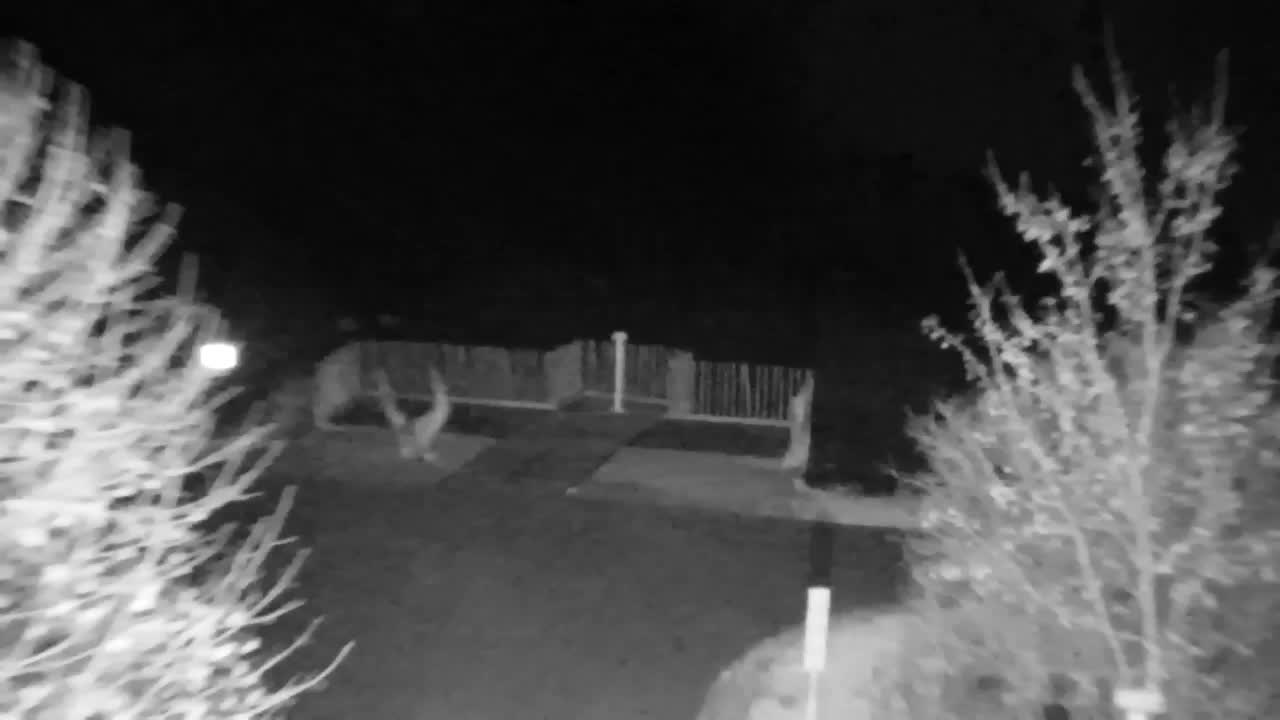 Webcam Ribnik Vrbje – Žalec