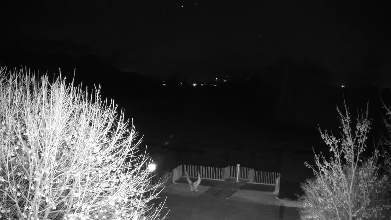 Webcam Ribnik Vrbje – Žalec