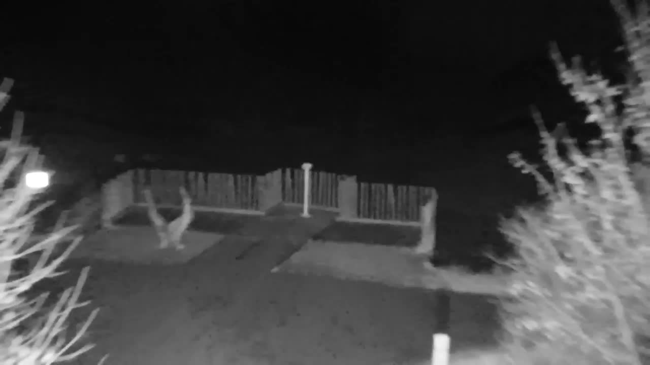 Webcam Ribnik Vrbje – Žalec