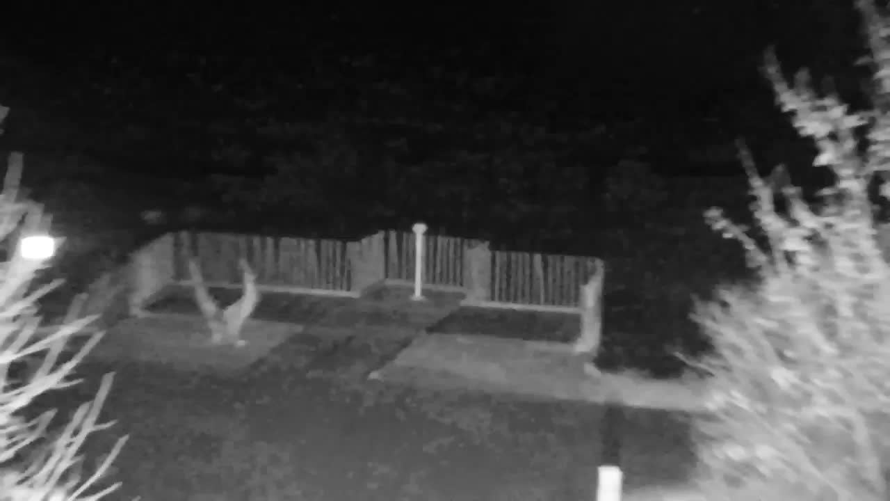 Webcam Ribnik Vrbje – Žalec