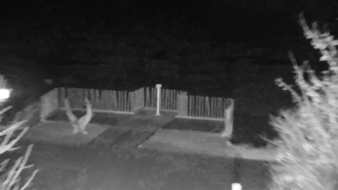 Webcam Ribnik Vrbje – Žalec