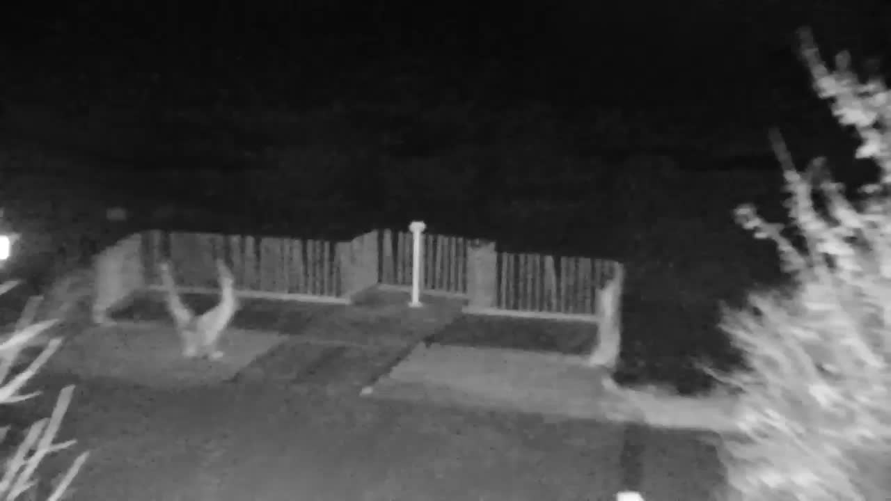 Webcam Ribnik Vrbje – Žalec