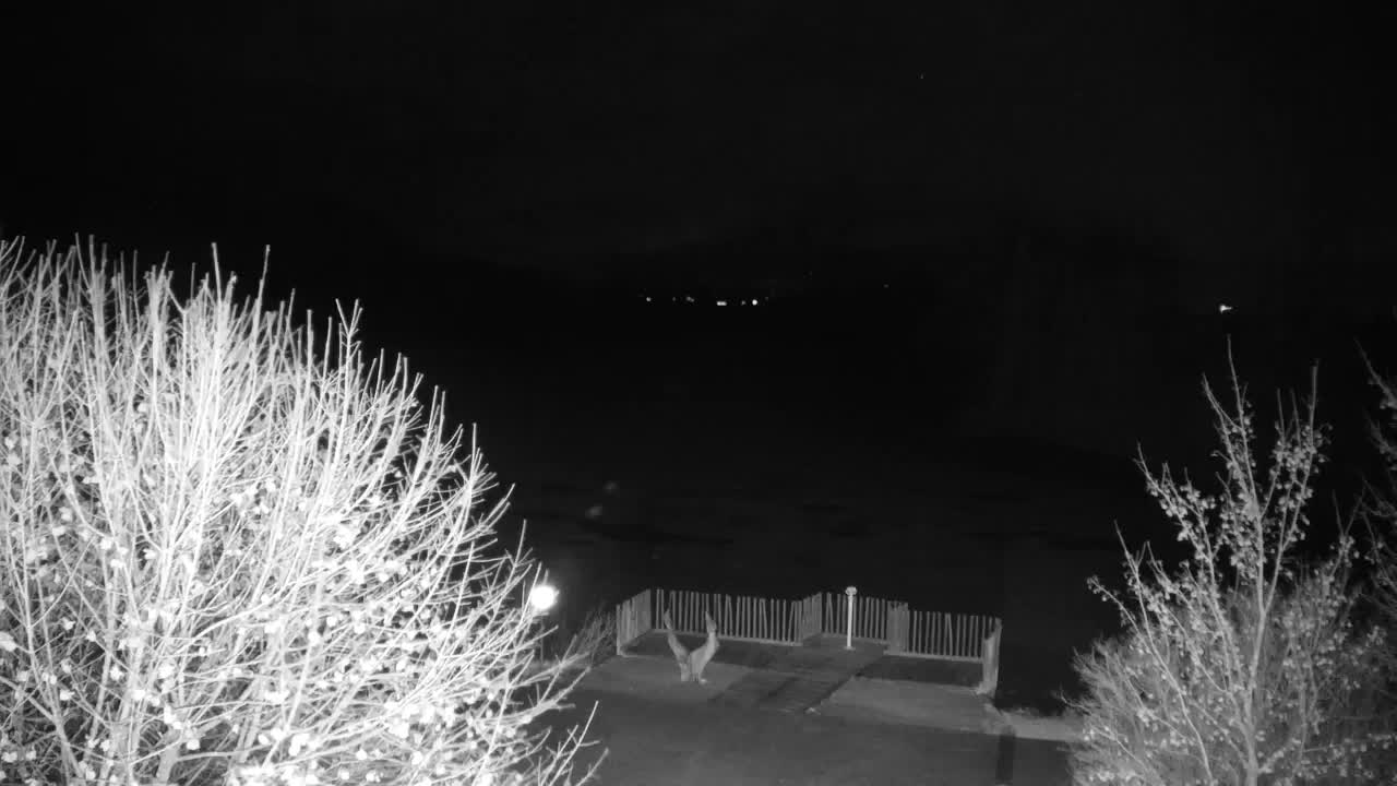 Spletna kamera Ribnik Vrbje – Žalec