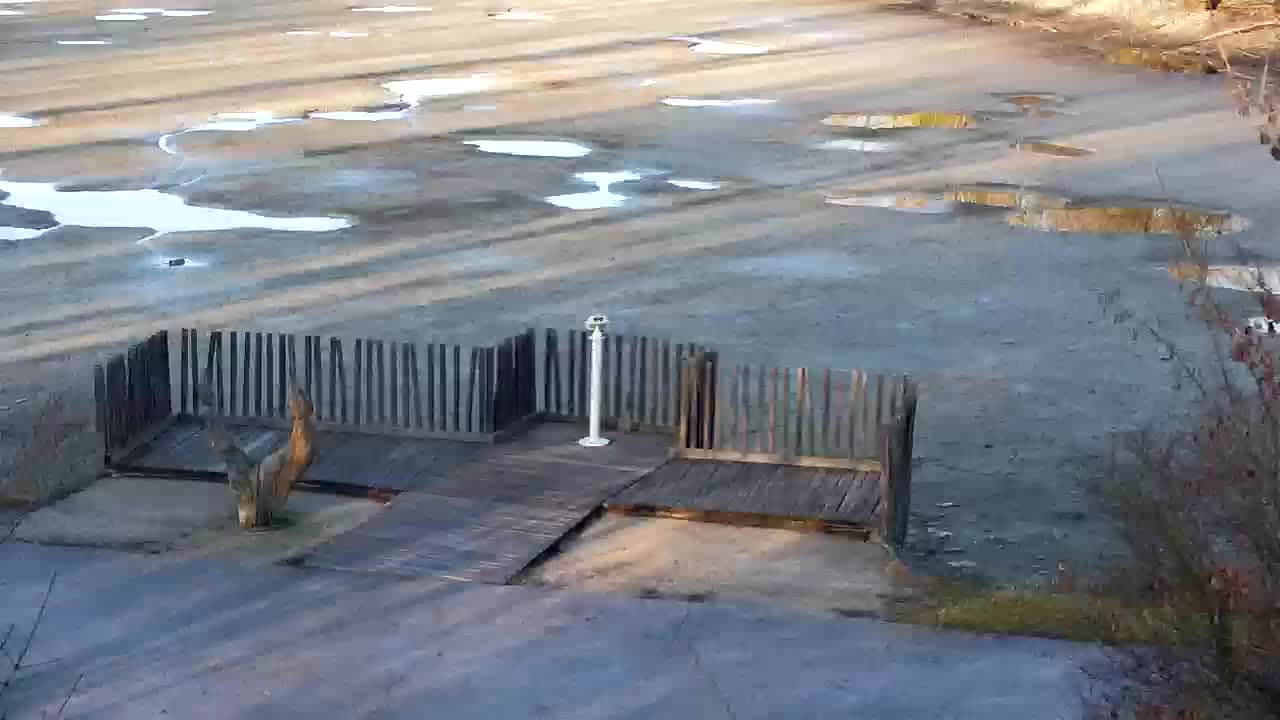 Webcam Ribnik Vrbje – Žalec