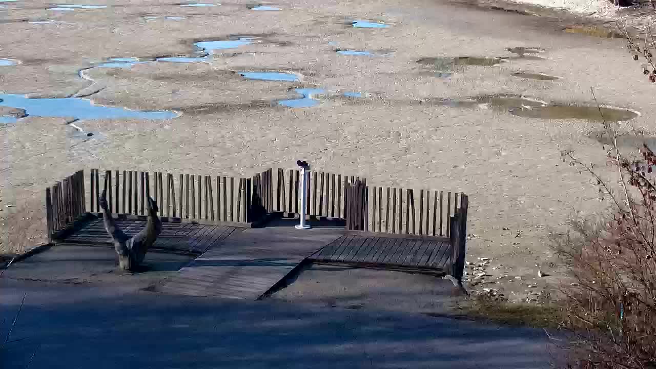 Webcam Ribnik Vrbje – Žalec