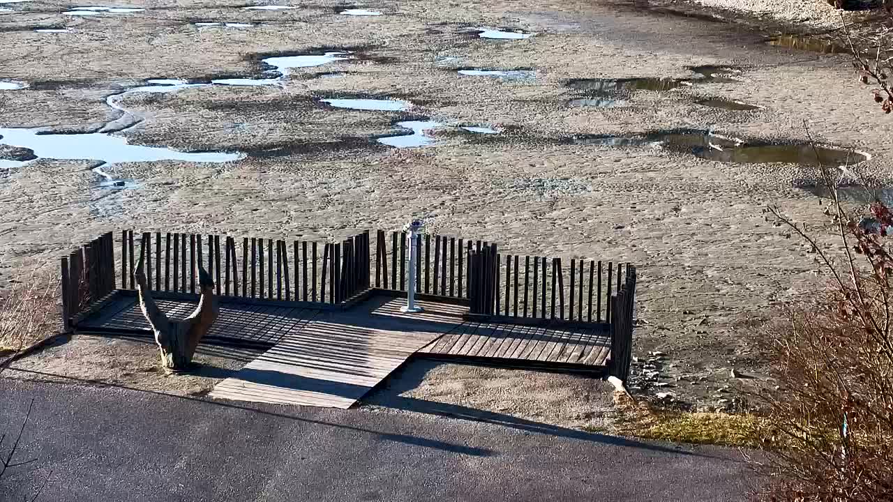 Webcam Ribnik Vrbje – Žalec