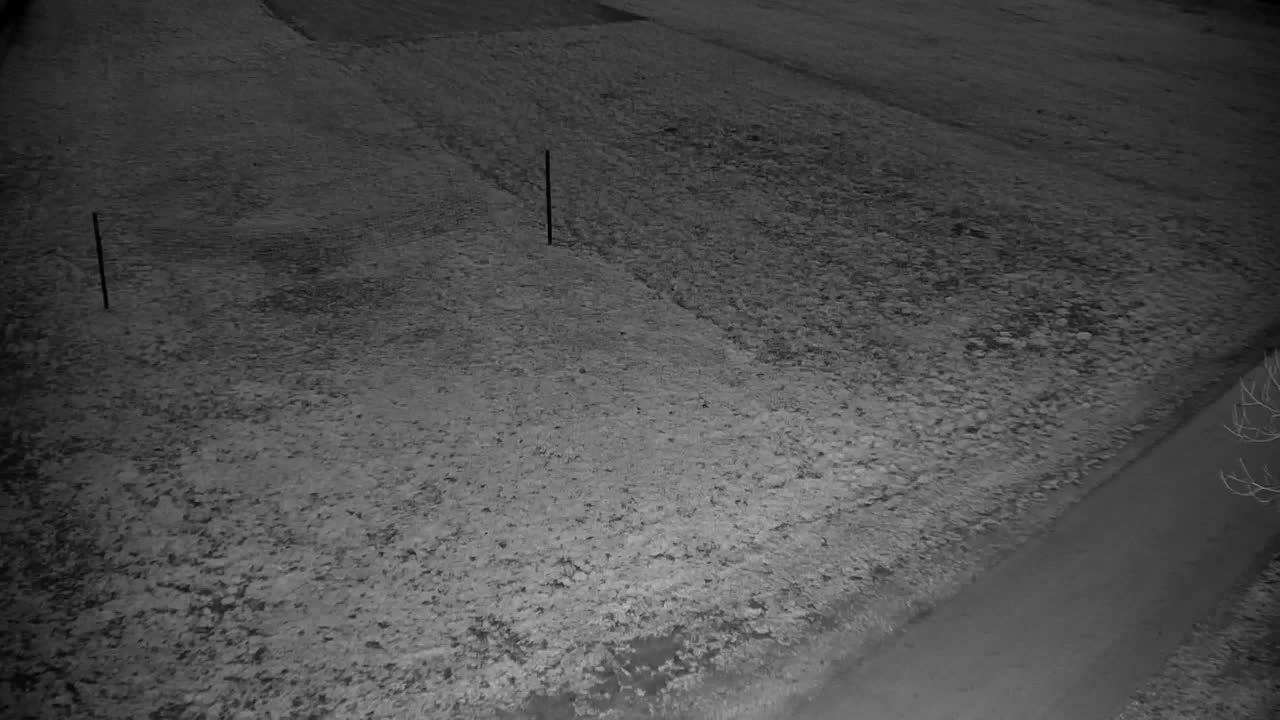 Webcam Ribnik Vrbje – Žalec