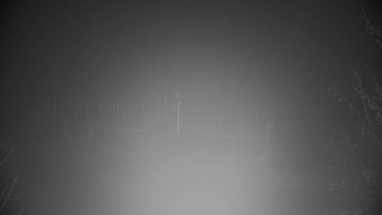 Webcam Ribnik Vrbje – Žalec