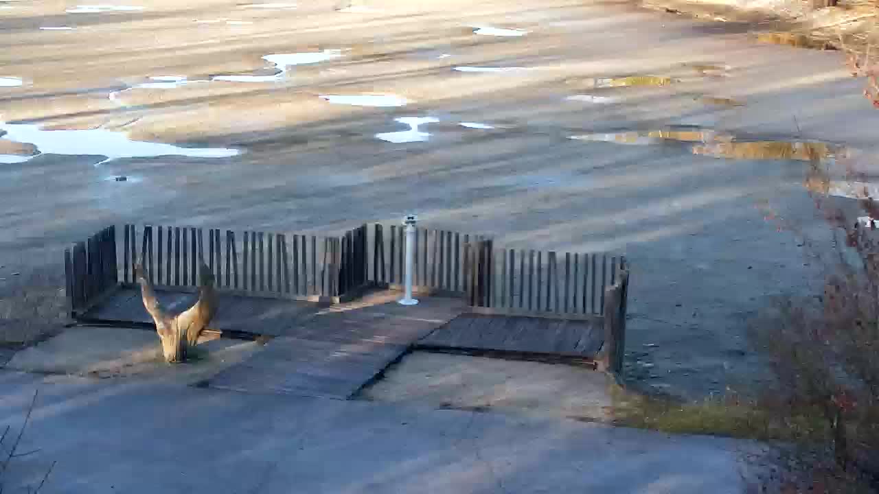 Webcam Ribnik Vrbje – Žalec