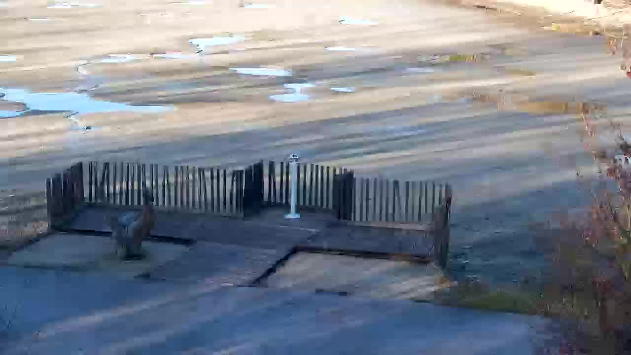 Webcam Ribnik Vrbje – Žalec