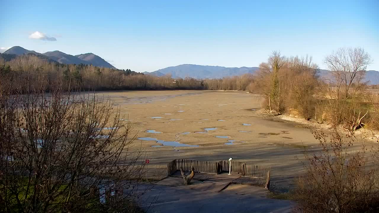 Webcam Ribnik Vrbje – Žalec