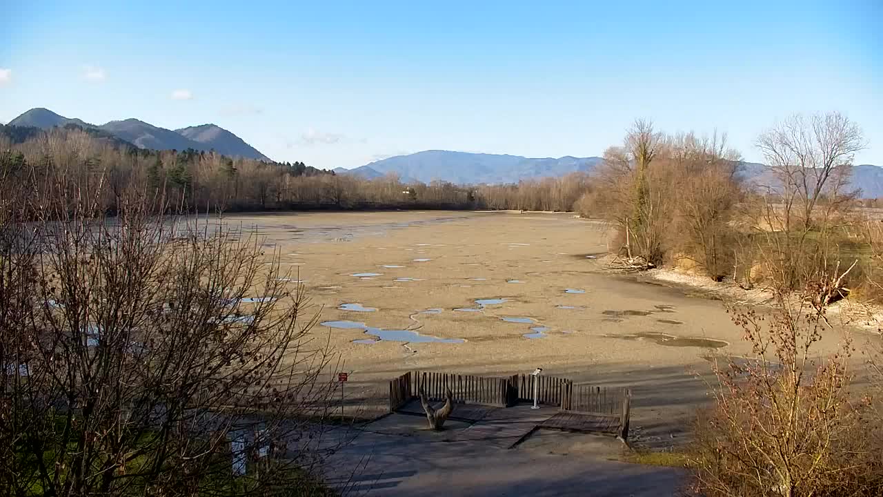 Spletna kamera Ribnik Vrbje – Žalec