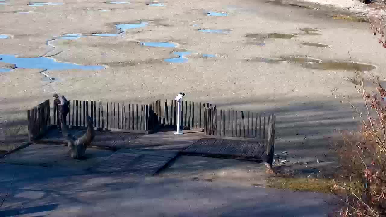 Webcam Ribnik Vrbje – Žalec