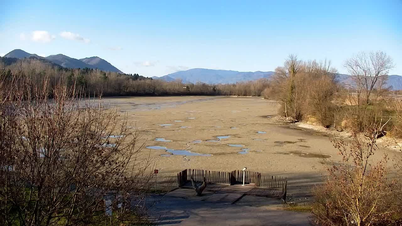 Webcam Ribnik Vrbje – Žalec