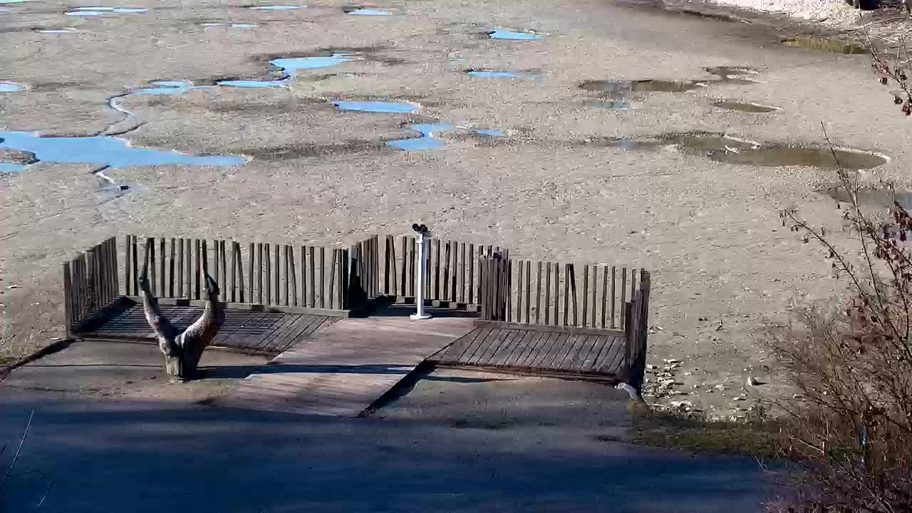 Webcam Ribnik Vrbje – Žalec