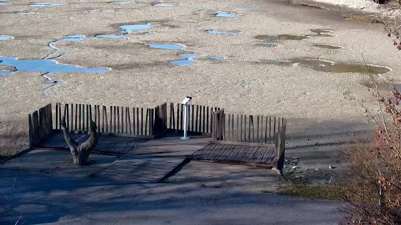 Webcam Ribnik Vrbje – Žalec