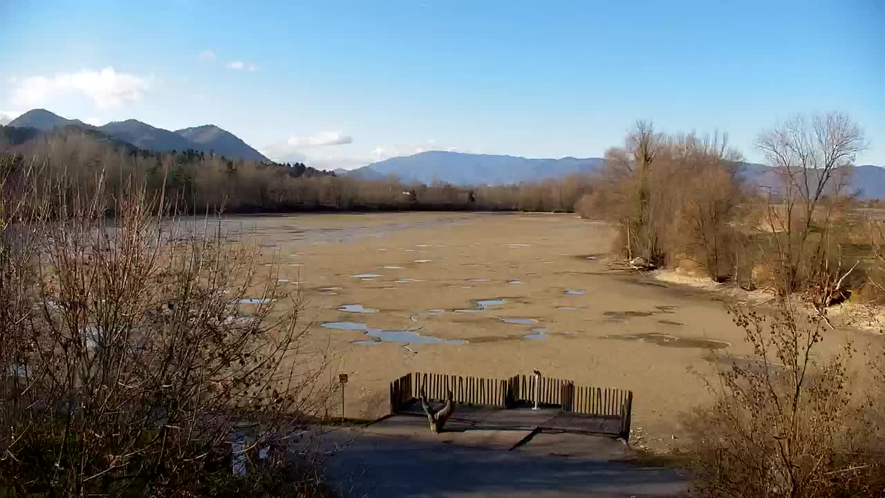 Spletna kamera Ribnik Vrbje – Žalec