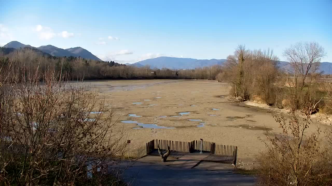 Spletna kamera Ribnik Vrbje – Žalec
