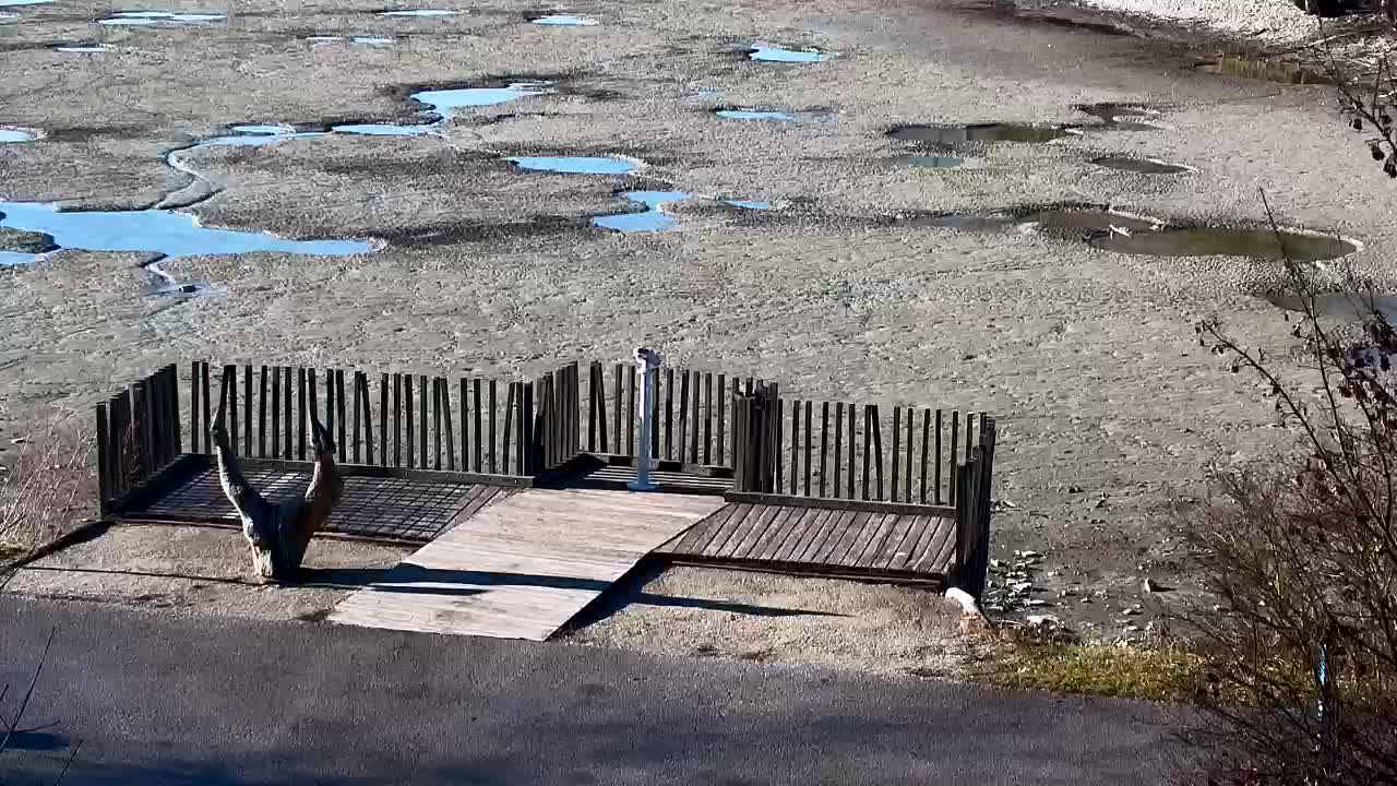 Web kamera Ribnik Vrbje – Žalec