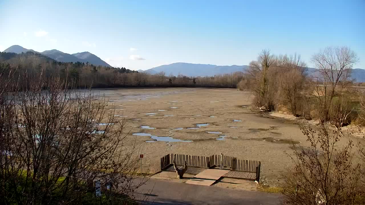 Webcam Ribnik Vrbje – Žalec