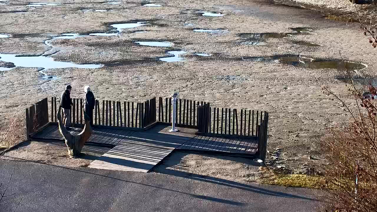 Web kamera Ribnik Vrbje – Žalec