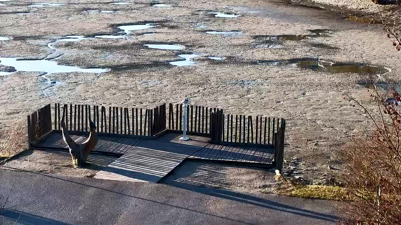 Webcam Ribnik Vrbje – Žalec