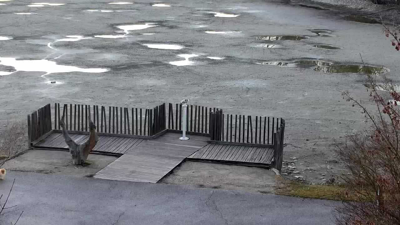 Webcam Ribnik Vrbje – Žalec