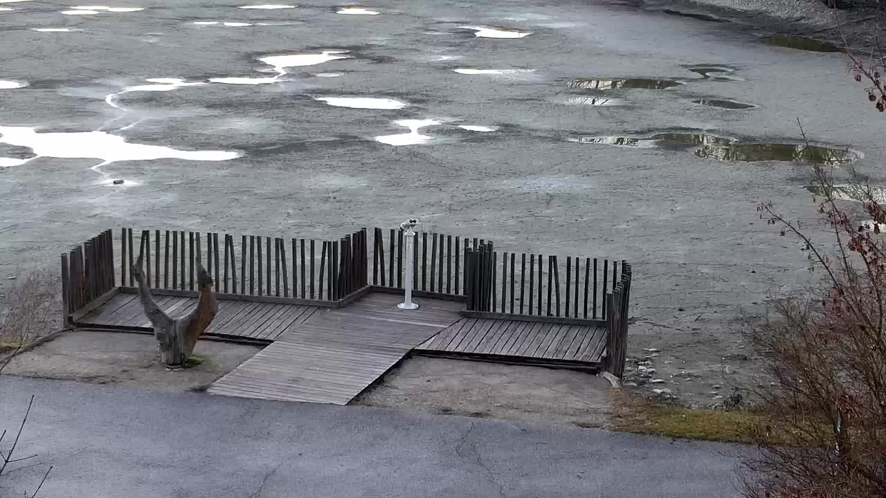 Webcam Ribnik Vrbje – Žalec