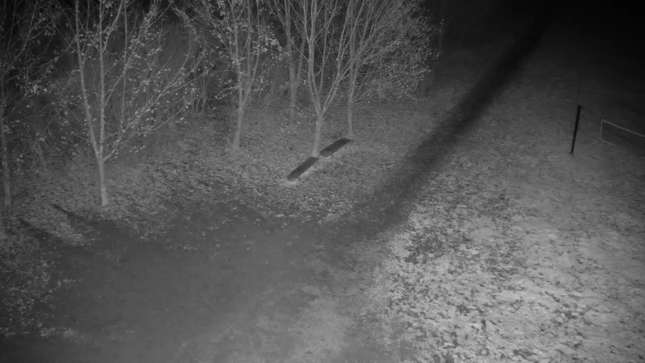 Webcam Ribnik Vrbje – Žalec